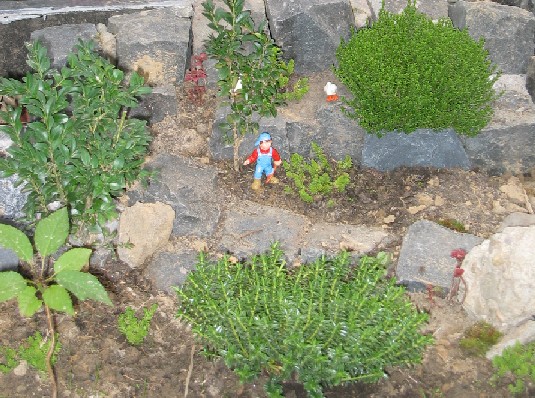 Pflanzen auf der Gartenbahn