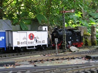 99 6001 mit Güterwagen