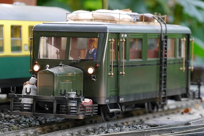 Schweineschnäuzchen