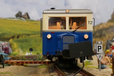 Schweineschnäuzchen Sylt